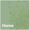 Garden Landscape Design in Kent and Sussex