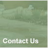 Contact RVDM