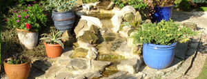 Water Features and Ponds