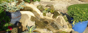 Water Features and Ponds