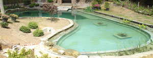Water Features and Ponds