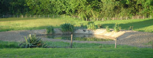 Water Features and Ponds