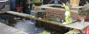 Water Features and Ponds