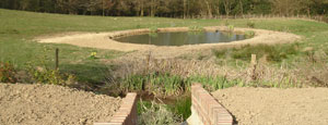 Water Features and Ponds