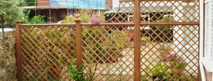 Fencing