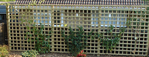 Fencing