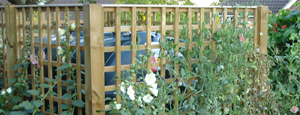 Fencing