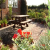 Patios and Paths