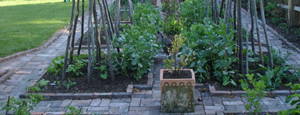 Planting Areas