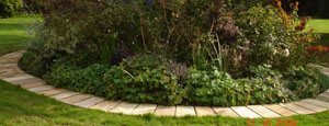 Planting Areas