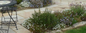Planting Areas