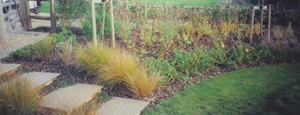 Planting Areas