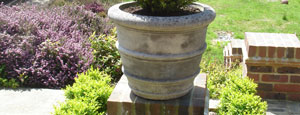 Planting Areas
