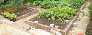 Planting Areas