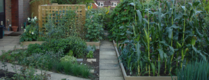 Planting Areas
