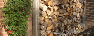 Timber Work